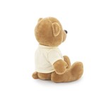 Мягкая игрушка «Медведь Топтыжкин» звезда, цвет коричневый 25 см - фото 3846480