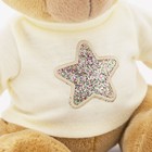 Мягкая игрушка «Медведь Топтыжкин» звезда, цвет коричневый 25 см - фото 3846481