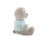 Мягкая игрушка «Медведь Топтыжкин» звезда, цвет серый 25 см - фото 9905119