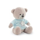 Мягкая игрушка «Медведь Топтыжкин», звезда, цвет серый, 17 см - фото 9905121