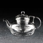 Чайник заварочный со стеклянным ситом «Горгона», 800 мл - фото 8908748