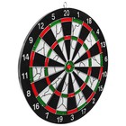 Дартс, мишень диаметром 30 см, 4 дротика - Фото 6