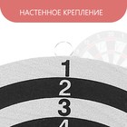 Дартс, мишень диаметром 40,5 см, 6 дротиков 580187 - фото 16451395