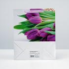 Пакет ламинированный, 26 x 32 x 12 см (комплект 12 шт) - фото 32565818