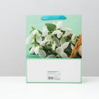 Пакет ламинированный, 26 x 32 x 12 см 4674565