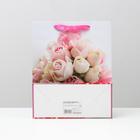 Пакет ламинированный, 26 x 32 x 12 см (комплект 12 шт) - фото 22685280