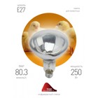Лампа инфракрасная, 250 Вт, Е 27, 220В, длина волны 1100-1150 нм, белая колба - Фото 5