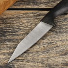 Нож для овощей кухонный «Точки», лезвие 7,5 см, цвет чёрный - Фото 2