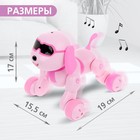 Робот собака Charlie IQ BOT, на пульте управления, интерактивный: звук, свет, танцующий, музыкальный, на батарейках, на русском языке, розовый - фото 6256392