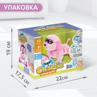 Робот собака Charlie IQ BOT, на пульте управления, интерактивный: звук, свет, танцующий, музыкальный, на батарейках, на русском языке, розовый - Фото 5