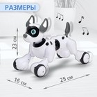 Робот собака Koddy IQ BOT, на пульте управления, интерактивный: звук, свет, танцующий, музыкальный, на аккумуляторе - фото 3846639