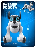 Робот собака Koddy IQ BOT, на пульте управления, интерактивный: звук, свет, танцующий, музыкальный, на аккумуляторе - Фото 2