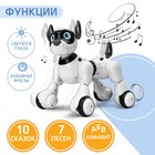 Робот собака Koddy IQ BOT, на пульте управления, интерактивный: звук, свет, танцующий, музыкальный, на аккумуляторе - фото 6256448