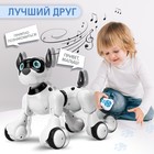 Робот собака Koddy IQ BOT, на пульте управления, интерактивный: звук, свет, танцующий, музыкальный, на аккумуляторе - Фото 6