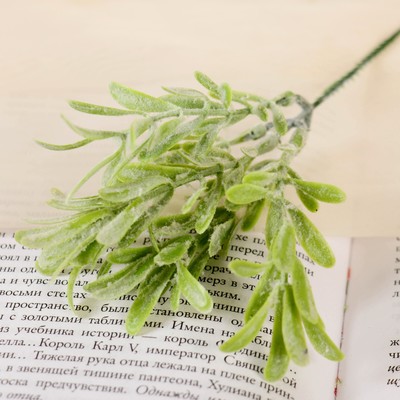 Букет "Шалфей" 21 см, микс