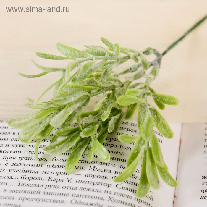 Букет "Шалфей" 21 см, микс - Фото 1