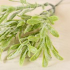 Букет "Шалфей" 21 см, микс - Фото 2