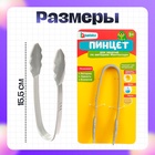 Пинцет для занятий по методике Монтессори, 3+ - Фото 4