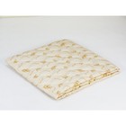 Одеяло лёгкое, размер 200 × 220 см, верблюжья шерсть - фото 298264819