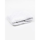 Одеяло лёгкое, размер 172 × 205 см, искусственный лебяжий пух - фото 298264977