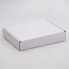 Коробка для пирога, белая, 32,6 x 22,9 x 4,8 см - фото 298265009