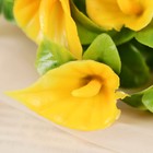 Букет искусственный «Каллы», h=21 см, МИКС (комплект 5 шт) - фото 44863863 Букет искусственный «Каллы», h=21 см, МИКС (комплект 5 шт) - фото 44863863