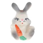 Резиновая игрушка "Зайчик с морковкой", МИКС - Фото 4