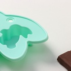 Форма для конфет и шоколада Доляна «Заяц», силикон, 15×11.5 см, 6 ячеек (3.8×3.5 см), бирюзовая - Фото 11