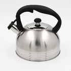 Чайник со свистком из нержавеющей стали «Торонто», 2,5 л, индукция, цвет хромированный - фото 8910818