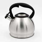 Чайник со свистком из нержавеющей стали «Акса», 3 л, индукция - фото 8910823