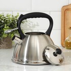 Чайник со свистком «Фериде», 3,2 л, индукция, нержавеющая сталь, серебристый - фото 27128445