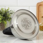 Чайник со свистком «Фериде», 3,2 л, индукция, нержавеющая сталь, серебристый - фото 27128446