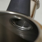 Чайник со свистком «Фериде», 3,2 л, индукция, нержавеющая сталь, серебристый - фото 27128448