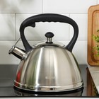 Чайник со свистком «Фериде», 3,2 л, индукция, нержавеющая сталь, серебристый - фото 27128449