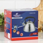 Чайник со свистком «Фериде», 3,2 л, индукция, нержавеющая сталь, серебристый - фото 27128450