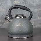 Чайник со свистком из нержавеющей стали «Альпы», 3 л, индукция, цвет серый - фото 8910835