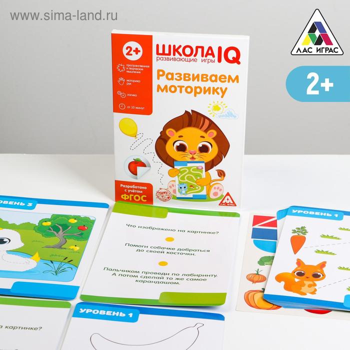 Развивающая игра «Школа IQ Развиваем моторику» - Фото 1