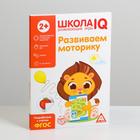 Развивающая игра «Школа IQ Развиваем моторику» - Фото 8