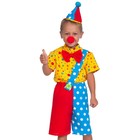 Карнавальный костюм «Клоун Чудик», рубаха, бриджи, колпак, нос, рост 92-110 см - фото 8911053