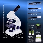 Микроскоп «Юный биолог», увеличение х80, х200, х450, с подсветкой - Фото 2