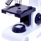 Микроскоп «Юный биолог», увеличение х80, х200, х450, с подсветкой - фото 6257166
