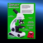Микроскоп «Юный биолог», увеличение х80, х200, х450, с подсветкой - Фото 15