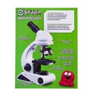 Микроскоп «Юный биолог», увеличение х80, х200, х450, с подсветкой - фото 7415535