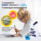 Микроскоп «Юный биолог», увеличение х80, х200, х450, с подсветкой - Фото 7