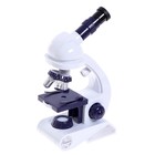 Микроскоп «Юный биолог», увеличение х80, х200, х450, с подсветкой - фото 6257163