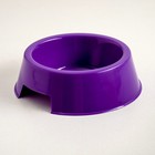 Миска пластиковая 17 х 17 х 5 см, 400 мл, фиолетовая - Фото 1