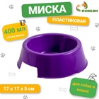 Миска пластиковая 17×17×5 см, 400 мл, фиолетовая - Фото 1
