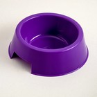 Миска пластиковая 17 х 17 х 5 см, 400 мл, фиолетовая - Фото 2