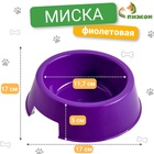 Миска пластиковая 17×17×5 см, 400 мл, фиолетовая - Фото 2