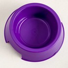 Миска пластиковая 17×17×5 см, 400 мл, фиолетовая - Фото 3